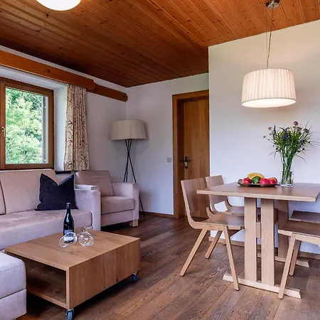 Schneider Apartman Schruns